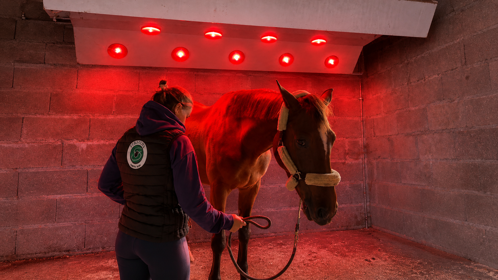 solarium chevaux et Estelle